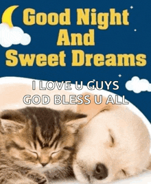 a dog and a kitten sleeping next to each other with the words " good night and sweet dreams " written above them