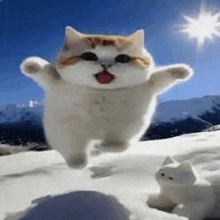 a cat is jumping in the air in the snow with its arms outstretched .