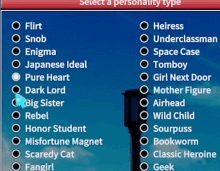 a list of personality types including flirt snob enigma japanese ideal dark lord big sister rebel honor student misfortune magnet scaredy cat fangirl