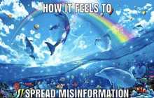 a picture of dolphins and a rainbow with the words how it feels to spread misinformation