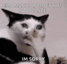 a black and white cat with a caption that says emo manic apology not in advance