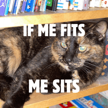 a cat is laying on a bookshelf with the words if me fits me sits