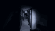 a person standing in a dark hallway with a light shining on them