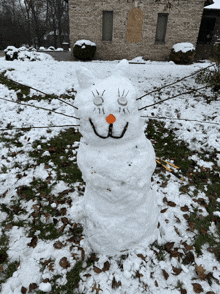 a snowman in the shape of a cat with a carrot nose and eyes