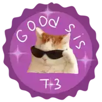 a cat wearing sunglasses with the words good sis t-3 below it