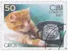 a postage stamp with a cat laying next to a telephone