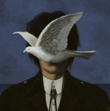 a painting of a man with a white bird flying over his face