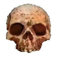 a skull with a white background and a few spots on it