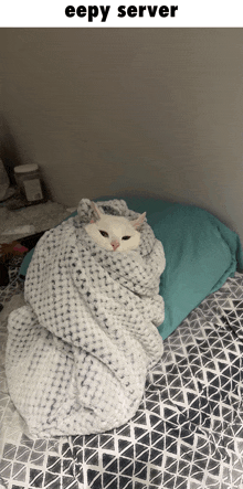 a white cat wrapped in a blanket on a bed