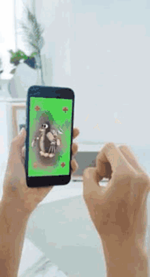 a person is holding a cell phone with a monkey on the screen .