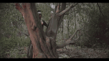 a man wearing a cowboy hat and tie dye shirt is standing in the woods talking on a cell phone