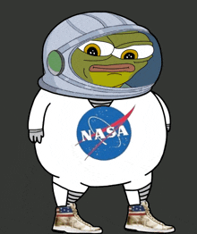 a frog wearing a nasa shirt and helmet