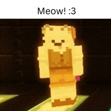 a minecraft character is standing in a dark room and says meow .