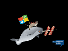 a cat is riding on the back of a narwhal with a windows flag