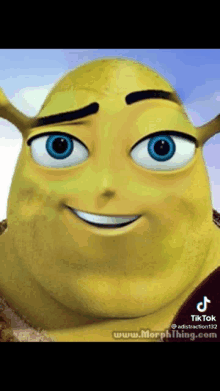 a close up of shrek 's face with blue eyes and black eyebrows .