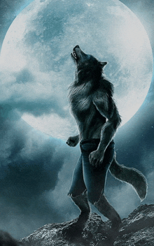 a werewolf standing in front of a full moon howling