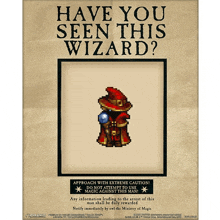 a poster asking if someone has seen a wizard