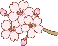 a drawing of a bunch of pink flowers on a branch