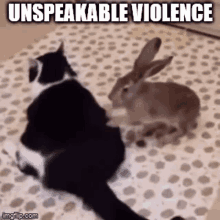 a cat and a rabbit are sitting on a blanket with the words unspeakable violence above them