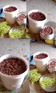 several buckets of beans and green beans are sitting on a table