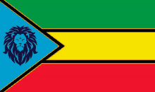 a colorful flag with a black lion on it