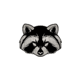 a black and white drawing of a raccoon 's head with a white background