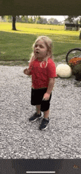 a little girl in a red shirt and black shorts is standing on a gravel driveway in front of a field .