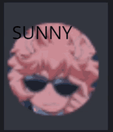 a picture of a person wearing sunglasses with the word sunny above them