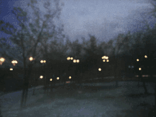 a blurry photo of a park at night with trees and lights