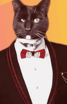 a black cat is wearing a tuxedo with a red bow tie