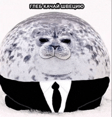 a stuffed seal wearing a suit and tie with a caption in a foreign language