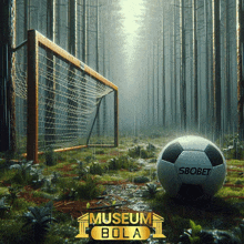 a soccer ball in the middle of a forest with a museum bola logo