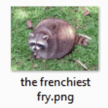 a picture of a raccoon with the words the frenchiest fry.png below it .