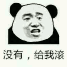 a panda bear is making a funny face with chinese writing .