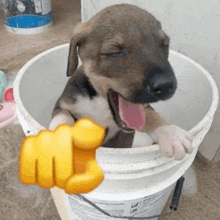 a brown and white puppy is sitting in a white bucket with its eyes closed