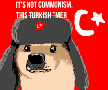 a dog wearing a russian hat with the words it 's not communism this turkish tmer on the bottom