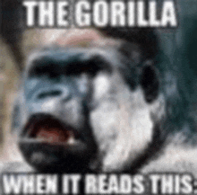 a picture of a gorilla with a caption that says `` the gorilla when it reads this ''