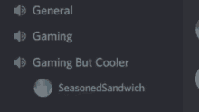 a screenshot of a discord channel with the words general gaming seasonedsandwich and gaming but cooler