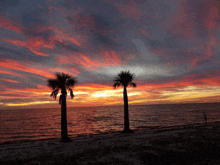 two palm trees are silhouetted against a sunset sky