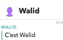 a screenshot of a person 's profile with the name walid and c ' est walid .