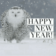 a snowy owl is standing in the snow with the words happy new year behind it