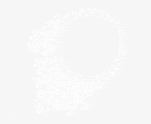 a white circle with a floral pattern around it on a white background .