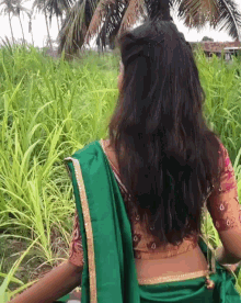 the woman is wearing a green saree and a red blouse and is standing in a field of tall grass .