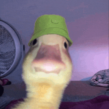 a duck wearing a green hat is sitting on a bed .