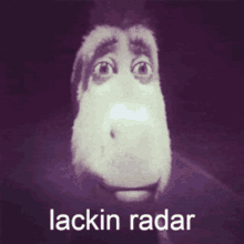 a picture of a donkey with the words " lacking radar " on the bottom