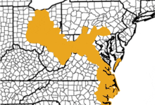 a black and white map of the united states with a yellow outline