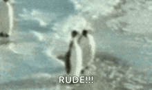 a blurry picture of a person riding a surfboard in the ocean with the words `` rude '' written in the corner .