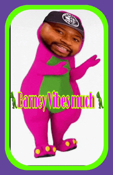 a picture of a barney bear with the words barney vibes much