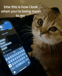 a cat sitting next to a cell phone that says btw this is how i look when you re being mean to me