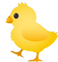 a small yellow chick with a black eye is walking